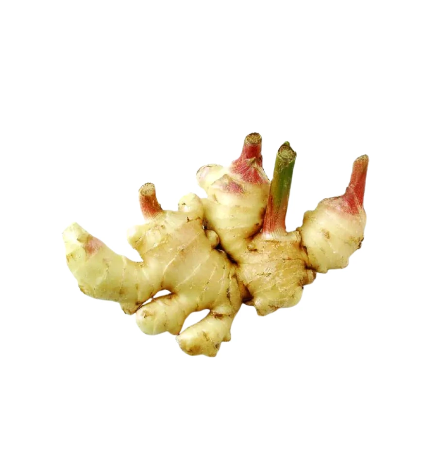 ខ្ញីមើម